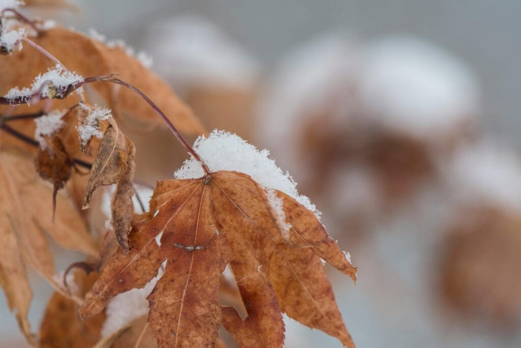 cold air fall